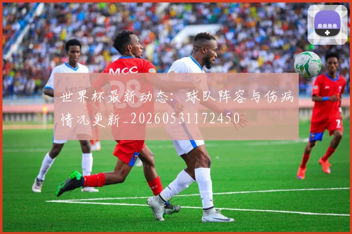 世界杯最新动态:球队阵容与伤病情况更新_20260531172450