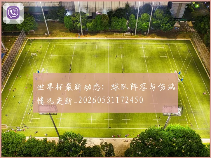 世界杯最新动态：球队阵容与伤病情况更新_20260531172450